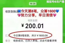 汕尾为什么选择专业追讨公司来处理您的债务纠纷？